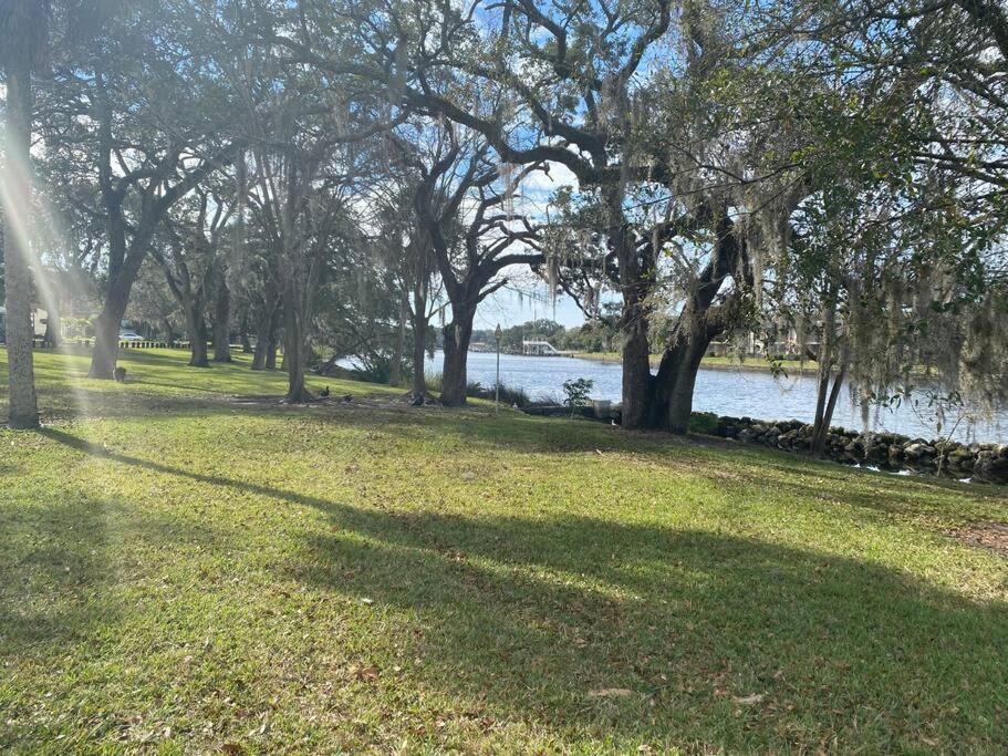 坦帕Chic Pad In Center Of Seminole Heights-322公寓 外观 照片