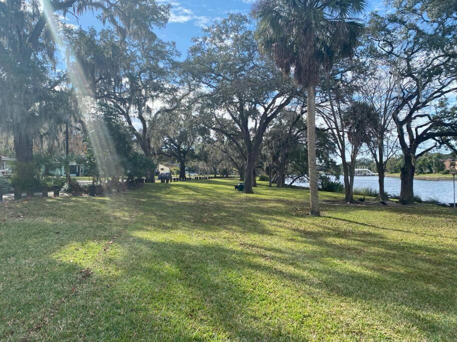 坦帕Chic Pad In Center Of Seminole Heights-322公寓 外观 照片